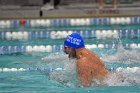 Swimming & Diving vs Babson  Swimming & Diving vs Babson College. - Photo by Keith Nordstrom : Wheaton, Swimming
